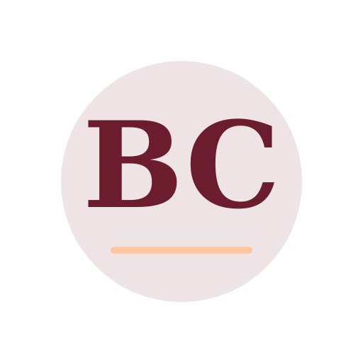 Belno Chimney Services logo